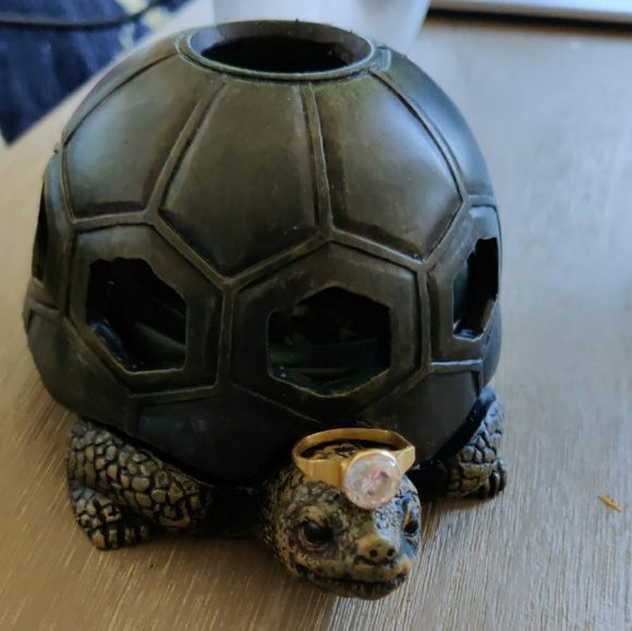 Meet your Posher, Sukritin - Picture 1 of 1